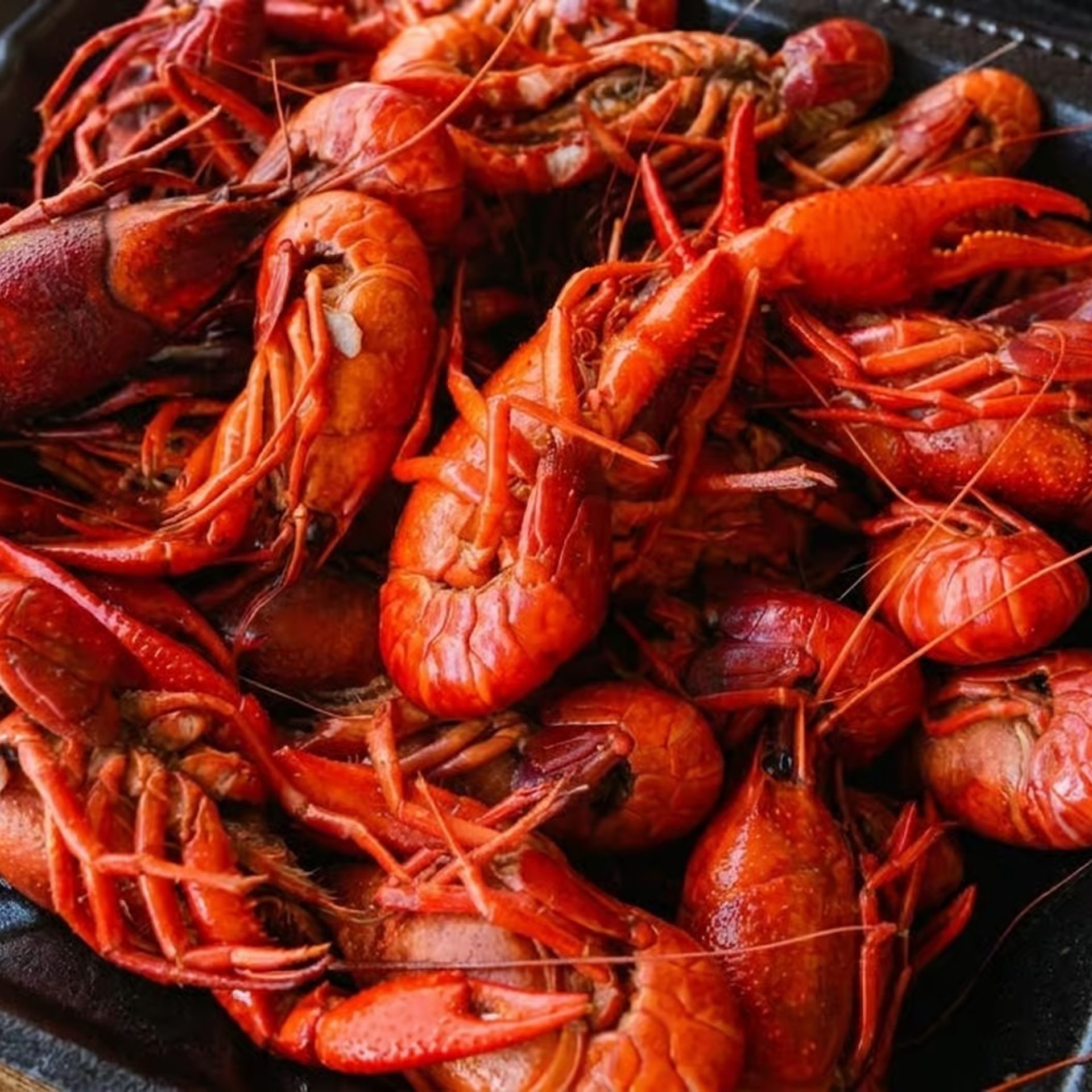 The signature boil